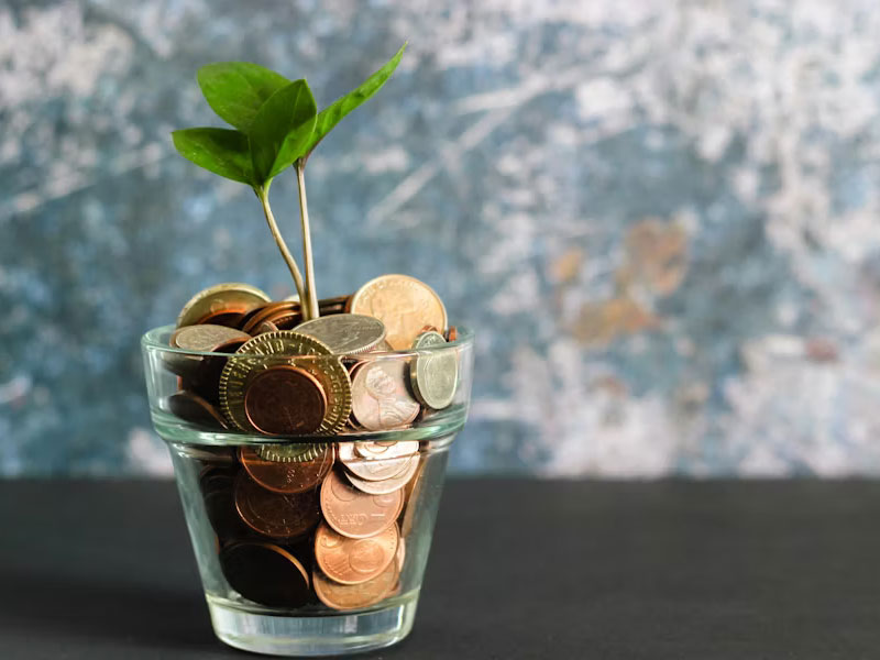 Small green plant sprouts from a clear glass pot brimming with coins, representing financial growth and Transparent Pricing.