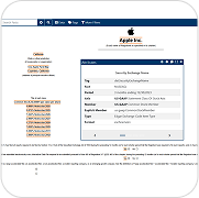 Apple Inc. SEC report dashboard displaying financial data tags through professional iXBRL filing services.