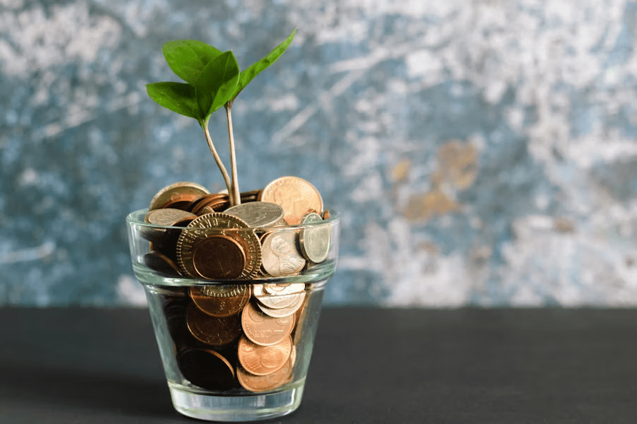 Green plant sprout in a glass jar of coins, symbolizing growth and Transparent, Flat-rate Pricing.