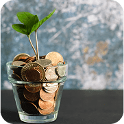 Green sprout growing from a jar of coins representing growth with unlimited revisions at no extra cost.
