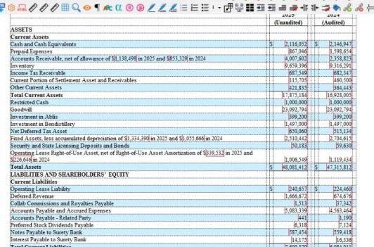 Detailed balance sheet showing assets and liabilities for fiscal years 2024 and 2025 in an EDGAR HTML format. Detailed balance sheet showing assets and liabilities for fiscal years 2024 and 2025 in an EDGAR HTML format.