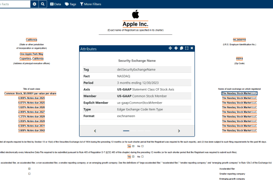 Apple Inc SEC filing demonstrating expert XBRL tagging for financial data including common stock and NASDAQ attributes.