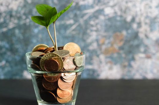Small green plant sprouts from a clear glass pot brimming with coins, representing financial growth and Transparent Pricing. Small green plant sprouts from a clear glass pot brimming with coins, representing financial growth and Transparent Pricing.