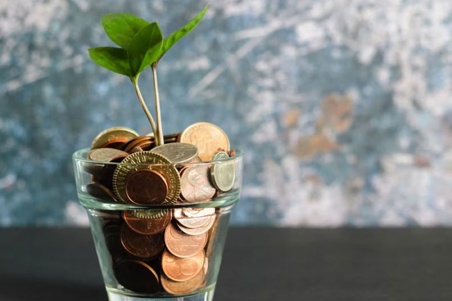 Small green plant sprouts from a clear glass pot brimming with coins, representing financial growth and Transparent Pricing.